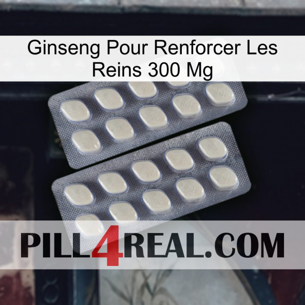 Ginseng For Reinforcing Kidney 300 Mg 07.jpg